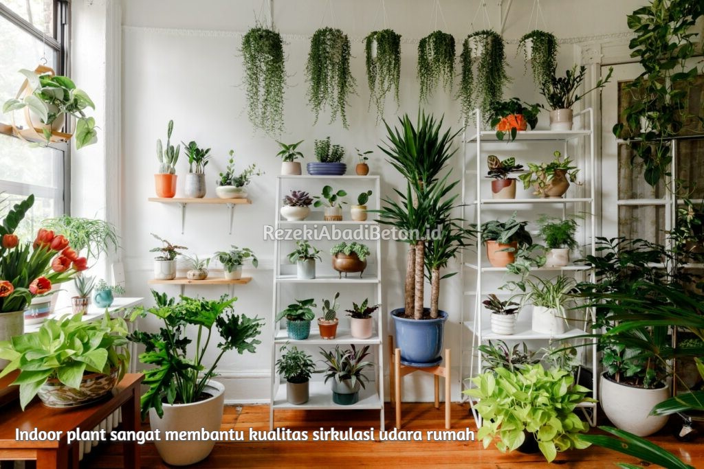 indoor plant sangat membantu kualitas sirkulasi udara rumah